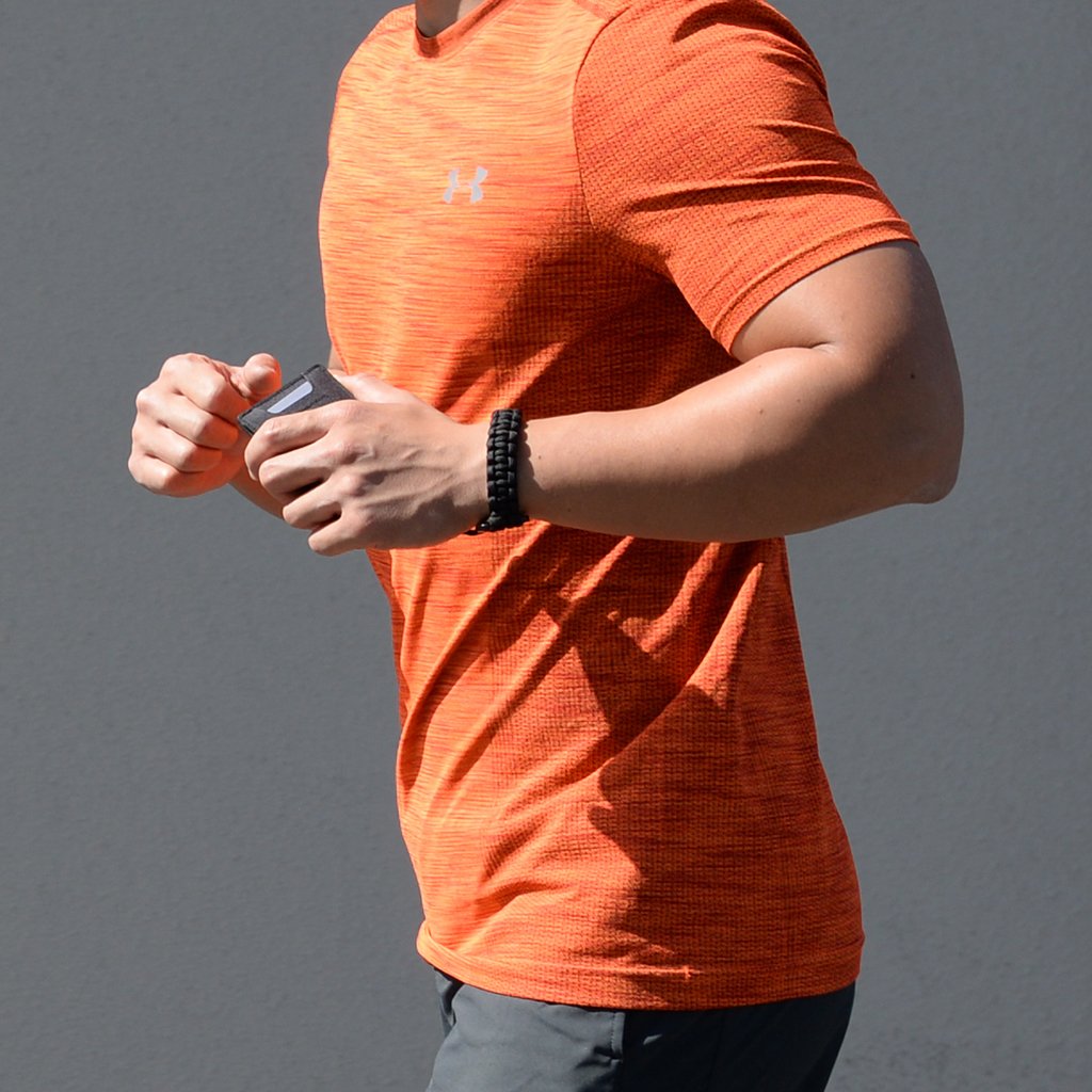 S1 ステルス ウォレット